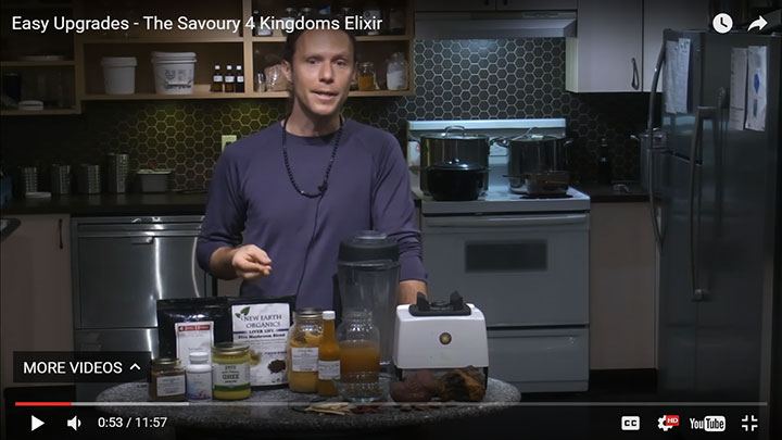 recipe 4-kingdoms-savory-elixir_Malcolm-Saunders